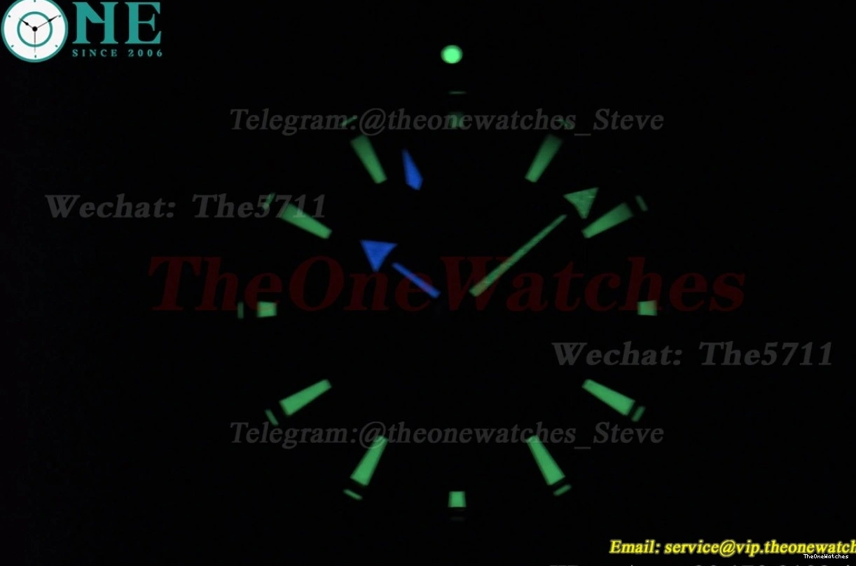 GDF Black 43mm 600m SS Seamaster SS Stk MY8215 0306